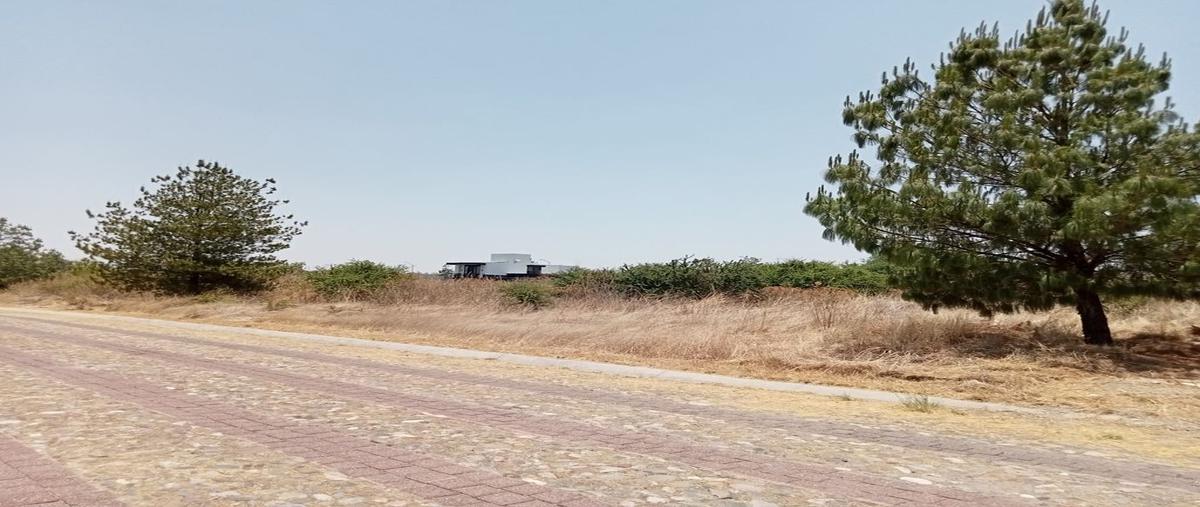 Foto de terreno habitacional en venta en carretera lagos de moreno – león , lagunillas, lagos de moreno, jalisco, 24877433 No. 04