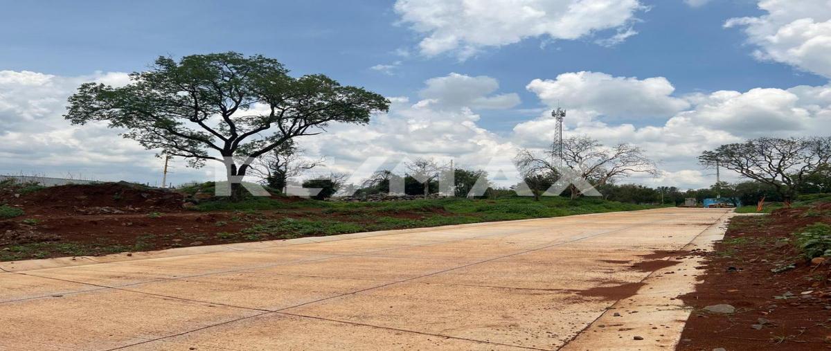 Foto de terreno habitacional en carretera lagos , san jose de bazarte, tepatitlán de morelos, jalisco, 0 foto 02 Foto de terreno habitacional en venta en carretera lagos , san jose de bazarte, tepatitlán de morelos, jalisco, 0 No. 02