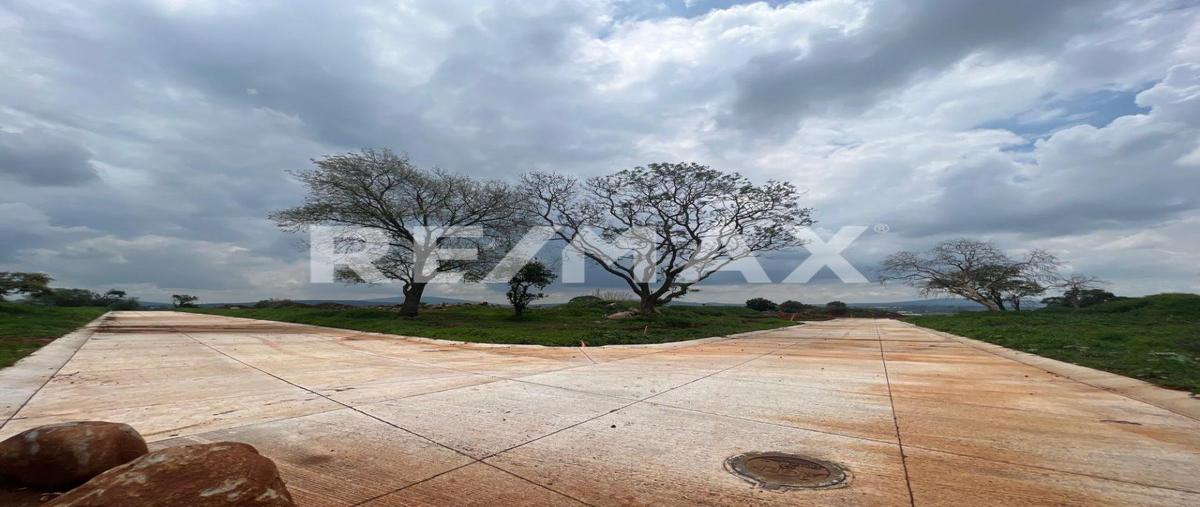 Foto de terreno habitacional en carretera lagos , san jose de bazarte, tepatitlán de morelos, jalisco, 0 foto 04 Foto de terreno habitacional en venta en carretera lagos , san jose de bazarte, tepatitlán de morelos, jalisco, 0 No. 04
