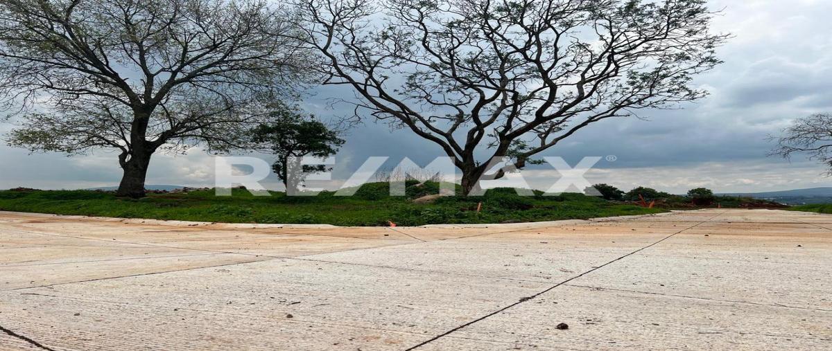 Foto de terreno habitacional en carretera lagos , san jose de bazarte, tepatitlán de morelos, jalisco, 0 foto 05 Foto de terreno habitacional en venta en carretera lagos , san jose de bazarte, tepatitlán de morelos, jalisco, 0 No. 05