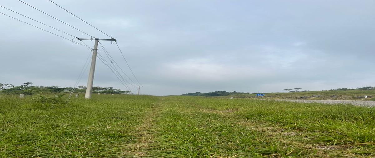 Foto de terreno habitacional en venta en carretera las choapas , ocuilapa de juárez, ocozocoautla de espinosa, chiapas, 0 No. 05