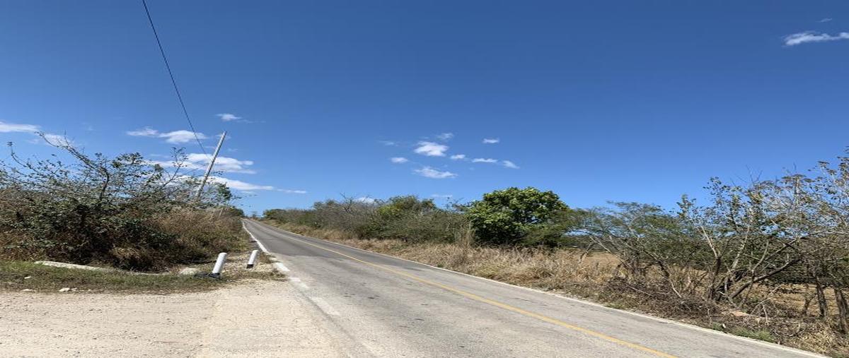 Foto de terreno comercial en venta en carretera las delicias - guadalupe victoria kilometro 5, guadalupe victoria, ocozocoautla de espinosa, chiapas, 0 No. 03