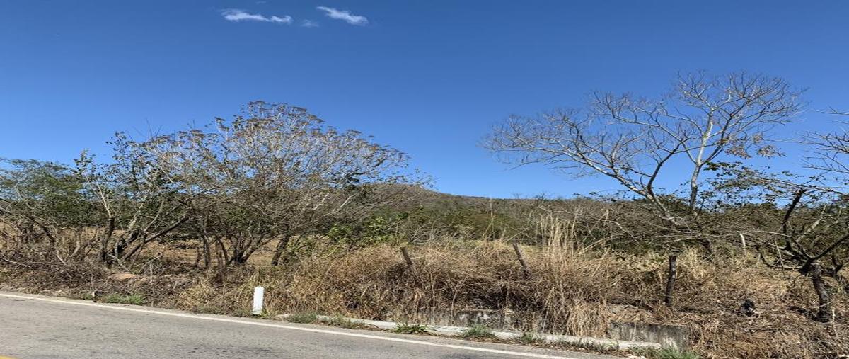 Foto de terreno comercial en venta en carretera las delicias - guadalupe victoria kilometro 5, guadalupe victoria, ocozocoautla de espinosa, chiapas, 0 No. 04