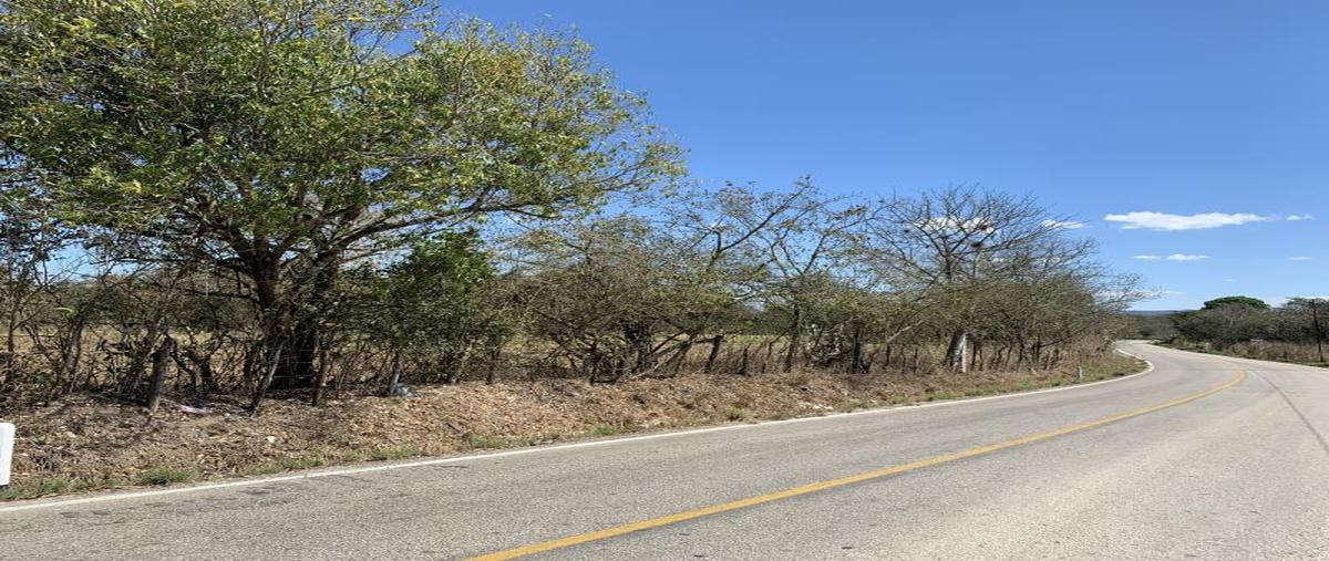 Foto de terreno comercial en venta en carretera las delicias - guadalupe victoria kilometro 5, guadalupe victoria, ocozocoautla de espinosa, chiapas, 0 No. 05