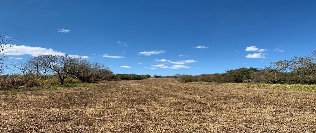 Foto de terreno habitacional en carretera las delicias - guadalupe victoria , la independencia (las pilas), ocozocoautla de espinosa, chiapas, 24283695 foto 01 Foto de terreno habitacional en venta en carretera las delicias - guadalupe victoria , la independencia (las pilas), ocozocoautla de espinosa, chiapas, 24283695 No. 01