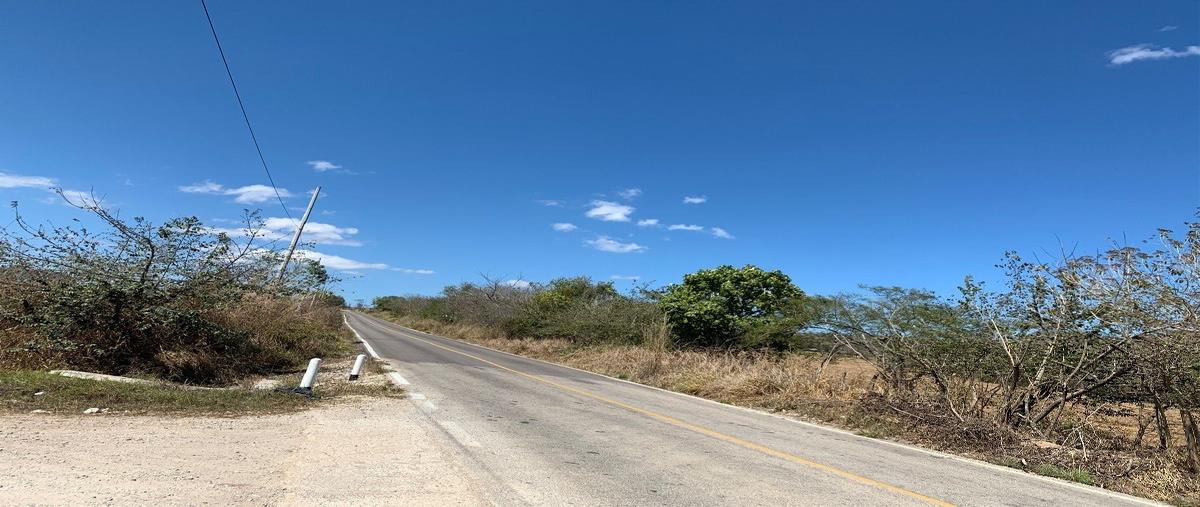 Foto de terreno habitacional en carretera las delicias - guadalupe victoria , ocozocoautla de espinosa centro, ocozocoautla de espinosa, chiapas, 24283695 foto 02 Foto de terreno habitacional en venta en carretera las delicias - guadalupe victoria , ocozocoautla de espinosa centro, ocozocoautla de espinosa, chiapas, 24283695 No. 02