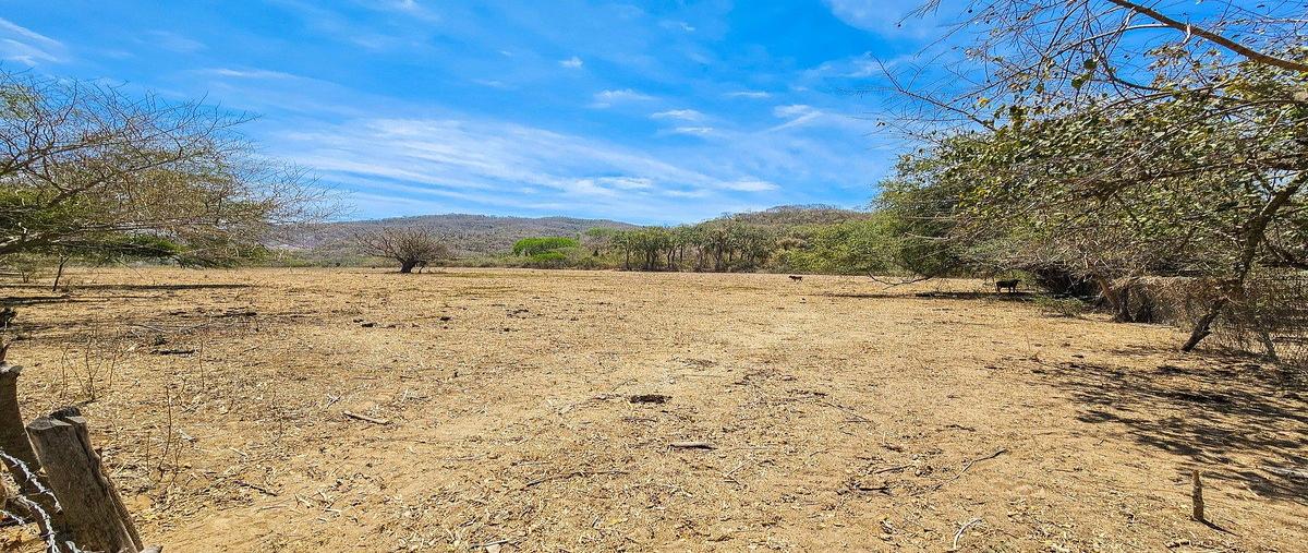 Foto de terreno habitacional en venta en carretera las palmas. la desembocada , la desembocada, puerto vallarta, jalisco, 0 No. 03