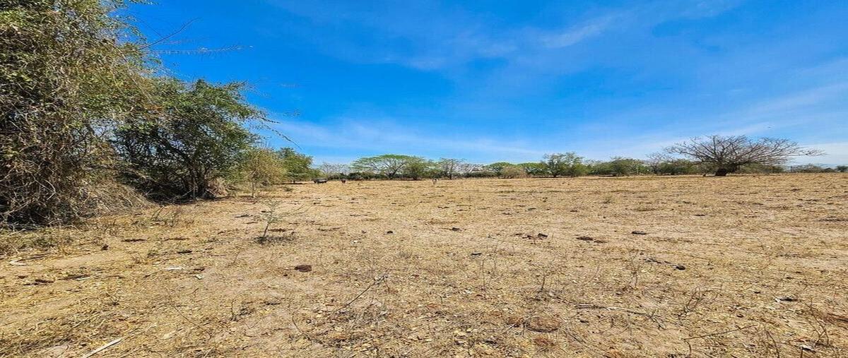 Foto de terreno habitacional en carretera las palmas , la desembocada, puerto vallarta, jalisco, 29492017 foto 03 Foto de terreno habitacional en venta en carretera las palmas , la desembocada, puerto vallarta, jalisco, 29492017 No. 03