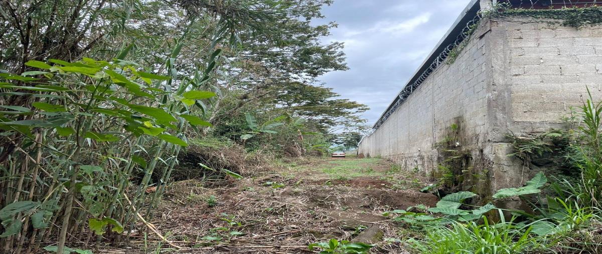 Foto de terreno habitacional en venta en carretera las trancas-coatepec 1, la estanzuela, emiliano zapata, veracruz de ignacio de la llave, 0 No. 03