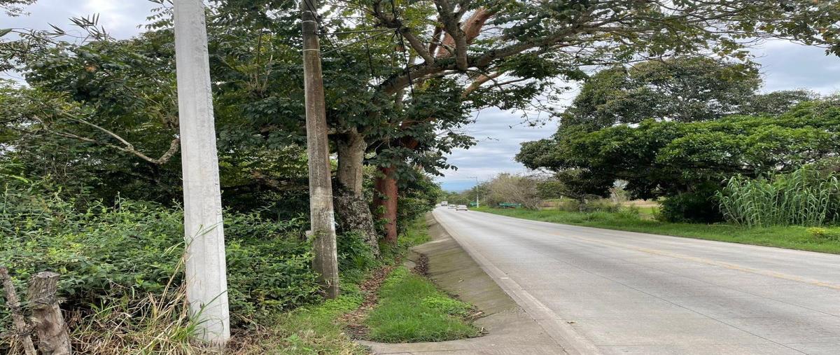 Foto de terreno habitacional en venta en carretera las trancas-coatepec 1, la estanzuela, emiliano zapata, veracruz de ignacio de la llave, 0 No. 04