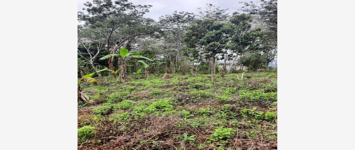 Foto de terreno habitacional en venta en carretera las trancas-coatepec 1, la estanzuela, emiliano zapata, veracruz de ignacio de la llave, 0 No. 05