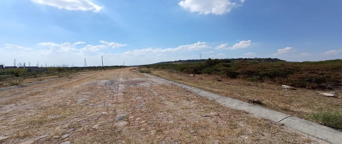 Foto de terreno habitacional en venta en carretera león lagos , villas ecológicas los nardos (los nardos), lagos de moreno, jalisco, 28242910 No. 02