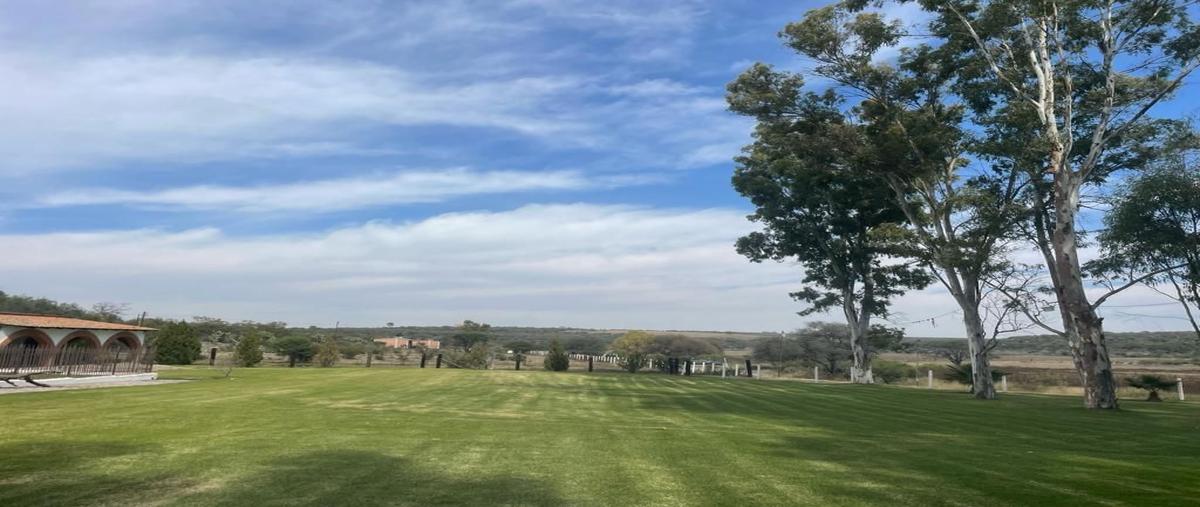 Foto de terreno habitacional en venta en carretera león-lagos de moreno , lagos de moreno, lagos de moreno, jalisco, 29876351 No. 05