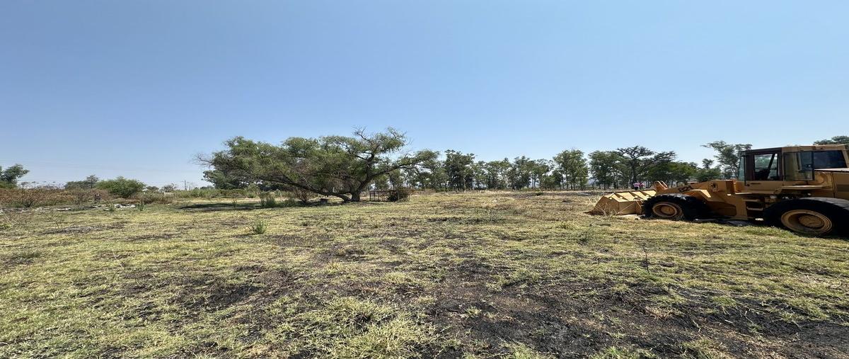 Foto de terreno industrial en venta en carretera libre a ciudad guzmán kilometro 5 , la resolana, acatlán de juárez, jalisco, 0 No. 03