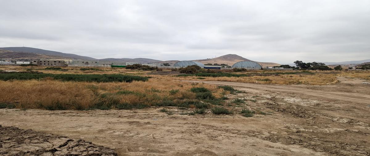Foto de terreno comercial en carretera libre a tecate , ojo de agua, tijuana, baja california, 26634457 foto 03 Foto de terreno comercial en renta en carretera libre a tecate , ojo de agua, tijuana, baja california, 26634457 No. 03