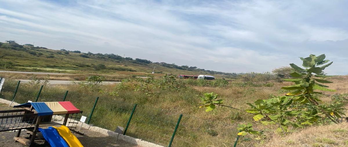Foto de terreno comercial en venta en carretera libre a zapotlanejo kilometro 16, puente grande, tonalá, jalisco, 0 No. 03