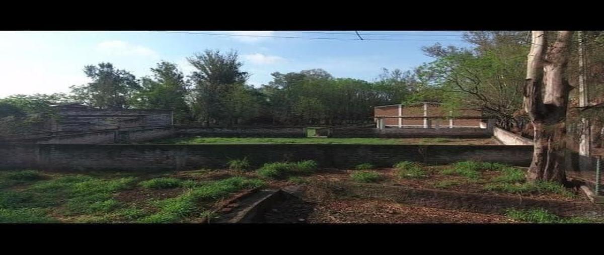 Foto de terreno industrial en venta en carretera libre a zapotlanejo kilometro 26 , la laja, zapotlanejo, jalisco, 18572464 No. 05