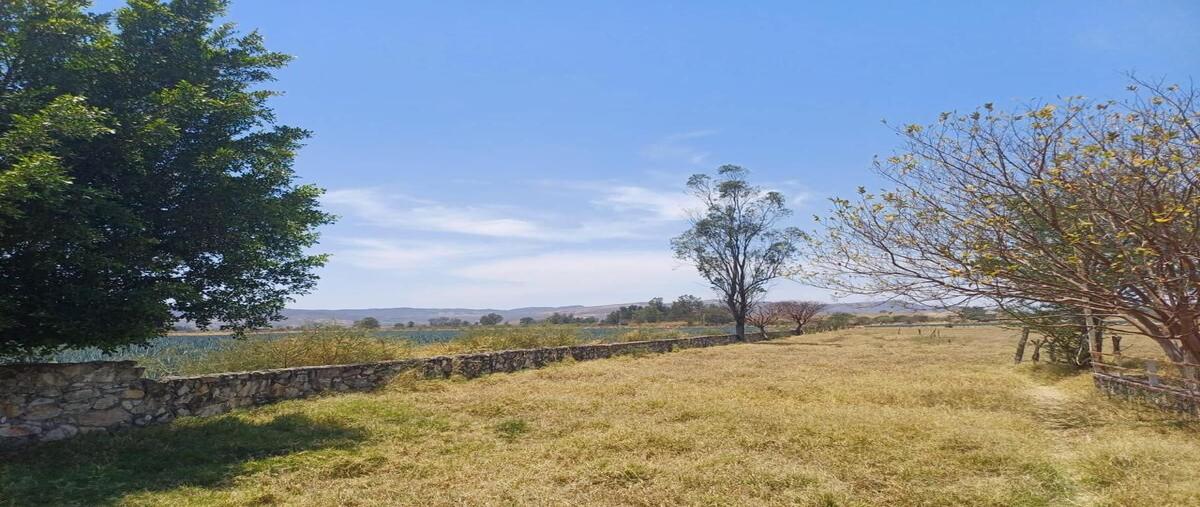 Foto de terreno habitacional en venta en carretera libre al refugio san marcos , san marcos, san marcos, jalisco, 0 No. 04