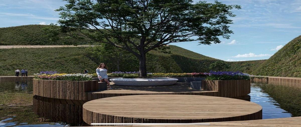 Foto de terreno habitacional en venta en carretera libre ensenada - tecate , francisco zarco (valle de guadalupe), ensenada, baja california, 0 No. 05