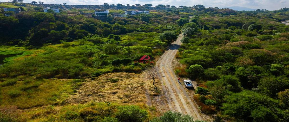 Foto de terreno habitacional en carretera libre guadalajara-nogales , el arenal, el arenal, jalisco, 29397881 foto 05 Foto de terreno habitacional en venta en carretera libre guadalajara-nogales , el arenal, el arenal, jalisco, 29397881 No. 05