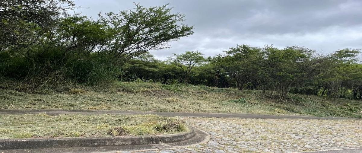 Foto de terreno habitacional en venta en carretera libre guadalajara-nogales numero 1000 1000, santa cruz del astillero, el arenal, jalisco, 0 No. 03
