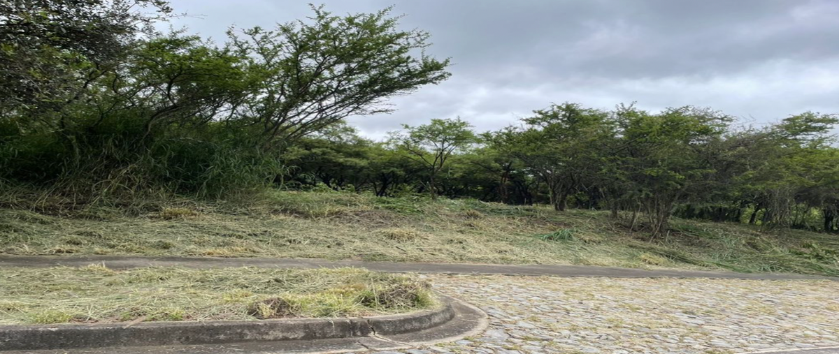 Foto de terreno habitacional en venta en carretera libre guadalajara-nogales , santa cruz del astillero, el arenal, jalisco, 0 No. 03