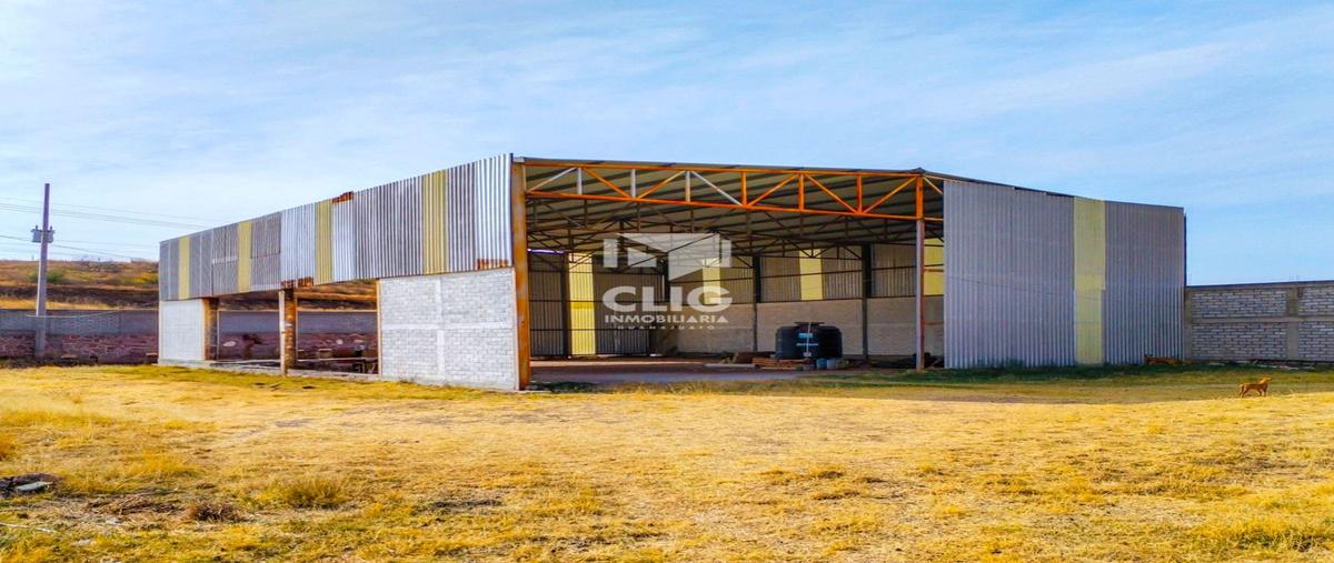 Foto de bodega en carretera libre guanajuato , santa teresa, guanajuato, guanajuato, 0 foto 01 Foto de bodega en renta en carretera libre guanajuato , santa teresa, guanajuato, guanajuato, 0 No. 01