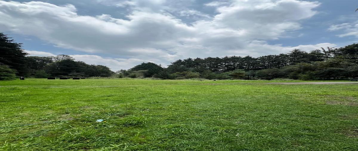 Foto de terreno habitacional en venta en carretera libre mex-toluca , cruz blanca, cuajimalpa de morelos, df / cdmx, 0 No. 02