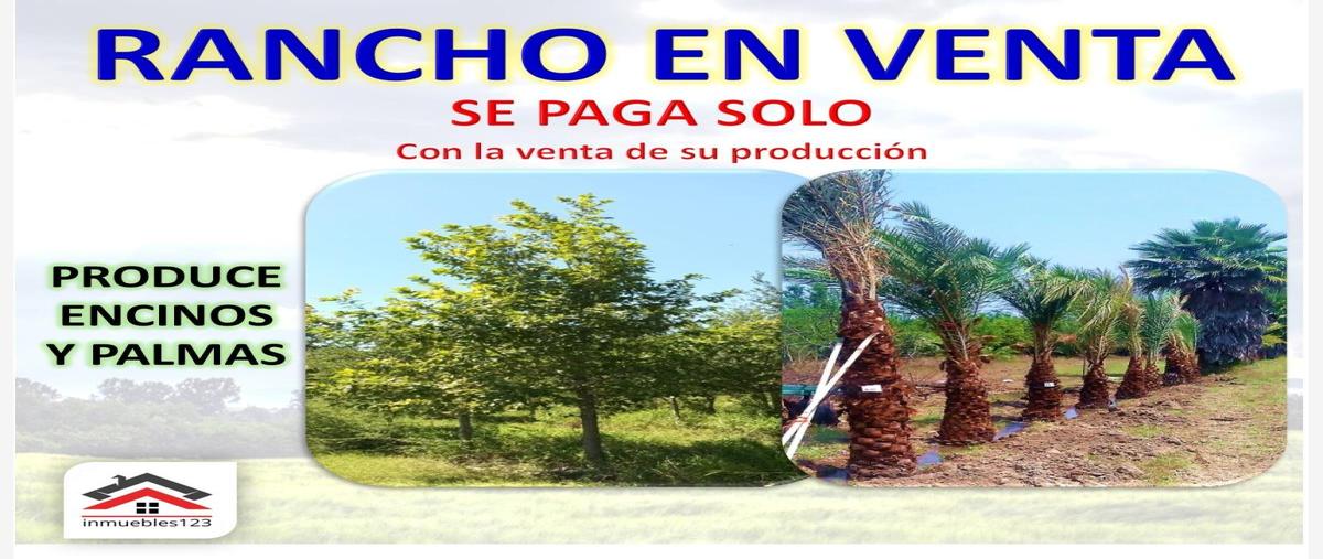 Foto de rancho en venta en carretera libre monterrey - reynosa kilometro 36.5, sin nombre de colonia 3 000, cadereyta jimenez centro, cadereyta jiménez, nuevo león, 26106405 No. 01