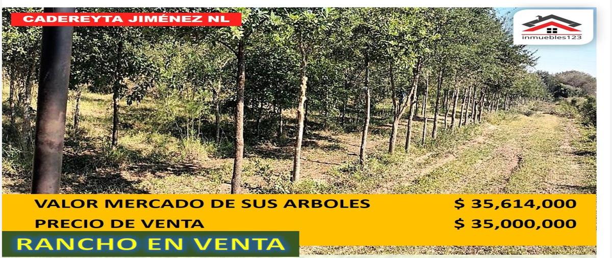 Foto de rancho en venta en carretera libre monterrey - reynosa kilometro 36.5, sin nombre de colonia 3 000, cadereyta jimenez centro, cadereyta jiménez, nuevo león, 26106405 No. 02