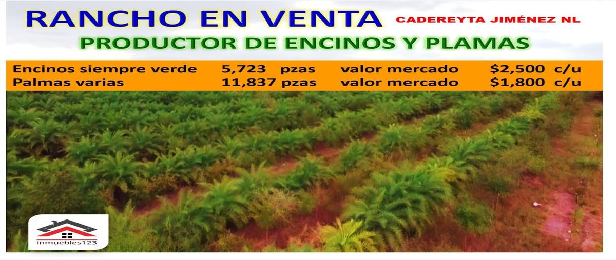 Foto de rancho en venta en carretera libre monterrey - reynosa kilometro 36.5, sin nombre de colonia 3 000, cadereyta jimenez centro, cadereyta jiménez, nuevo león, 26106405 No. 03