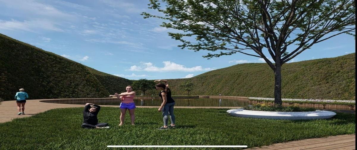 Foto de terreno habitacional en carretera libre tecate ensenada , francisco zarco (valle de guadalupe), ensenada, baja california, 0 foto 04 Foto de terreno habitacional en venta en carretera libre tecate ensenada , francisco zarco (valle de guadalupe), ensenada, baja california, 0 No. 04