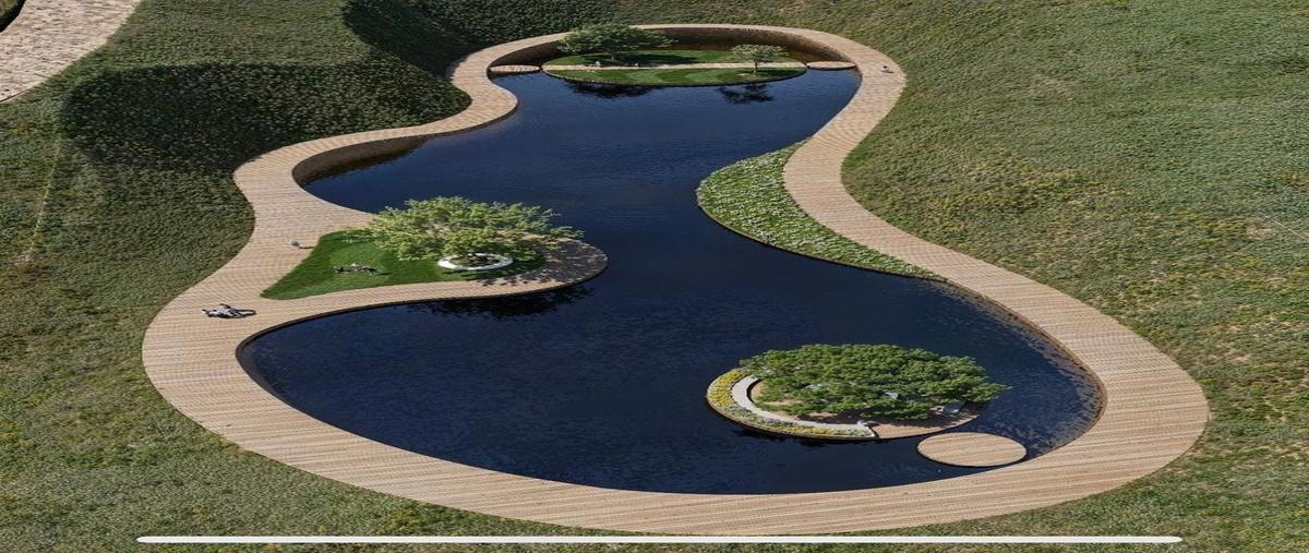 Foto de terreno habitacional en carretera libre tecate ensenada , francisco zarco (valle de guadalupe), ensenada, baja california, 0 foto 05 Foto de terreno habitacional en venta en carretera libre tecate ensenada , francisco zarco (valle de guadalupe), ensenada, baja california, 0 No. 05