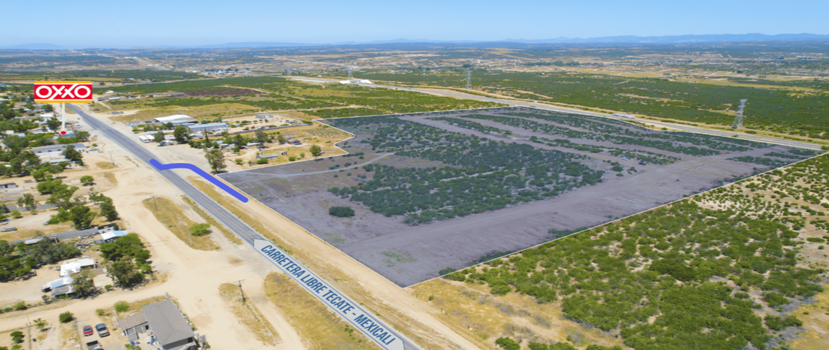 Foto de terreno habitacional en venta en carretera libre tijuana-mexicali , luis echeverría álvarez (el hongo), tecate, baja california, 0 No. 05