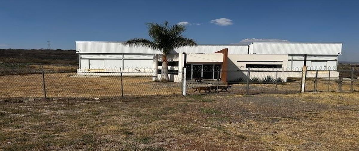 Foto de terreno industrial en carretera libre zapotlanejo , puente grande, tonalá, jalisco, 0 foto 01 Foto de terreno industrial en venta en carretera libre zapotlanejo , puente grande, tonalá, jalisco, 0 No. 01