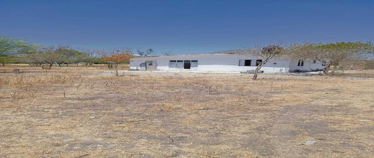 Foto de terreno habitacional en carretera linares / galeana , las bugambilias, linares, nuevo león, 0 foto 04 Foto de terreno habitacional en venta en carretera linares / galeana , las bugambilias, linares, nuevo león, 0 No. 04