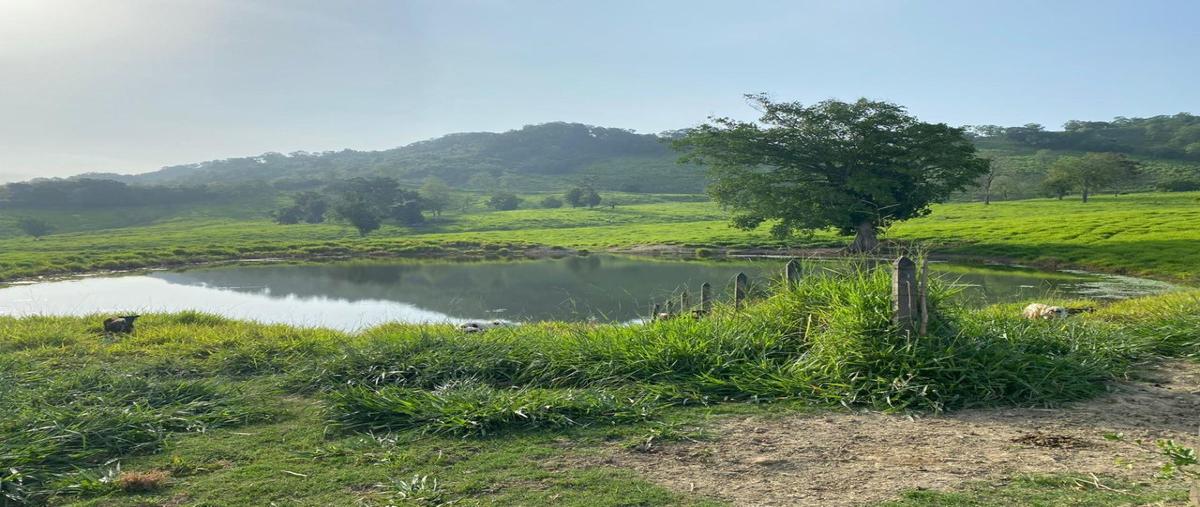 Foto de rancho en venta en carretera , linderos, venustiano carranza, puebla, 14239348 No. 02