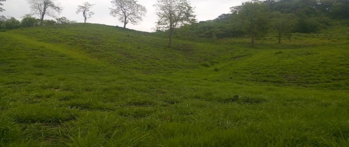 Foto de rancho en venta en carretera , linderos, venustiano carranza, puebla, 14239348 No. 03