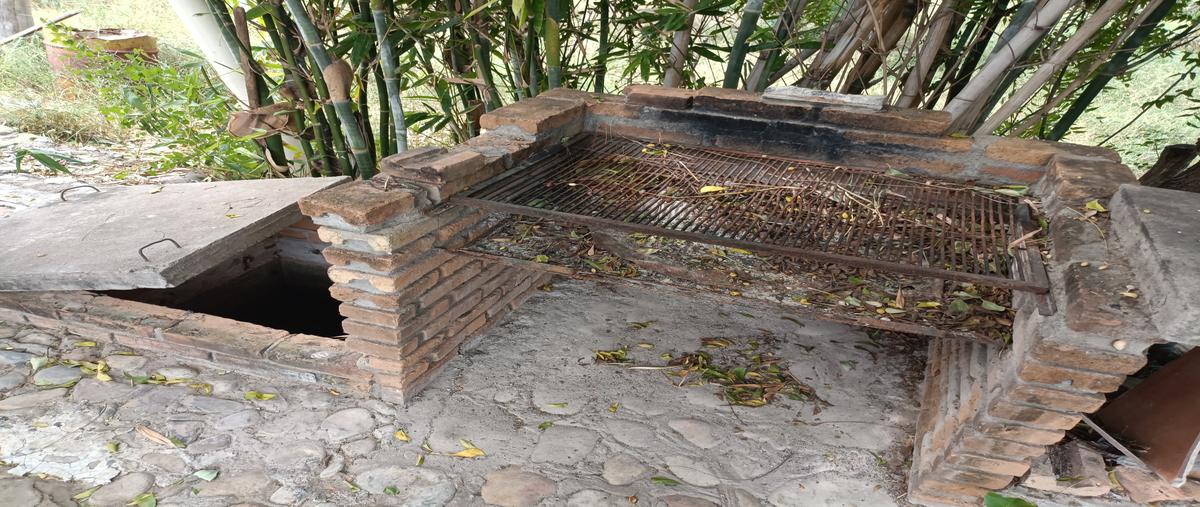 Foto de rancho en venta en carretera llera de canales-gonzalez , xicotencatl, xicoténcatl, tamaulipas, 29309913 No. 03