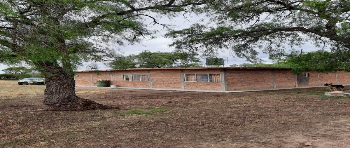 Foto de terreno habitacional en venta en carretera los campos , villa flores, villa garcía, zacatecas, 0 No. 04