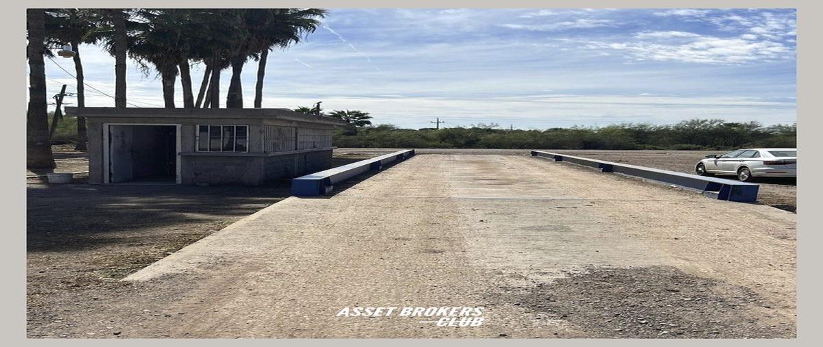Foto de bodega en venta en carretera los mochis el fuerte , los mochis (los mochis), ahome, sinaloa, 0 No. 03