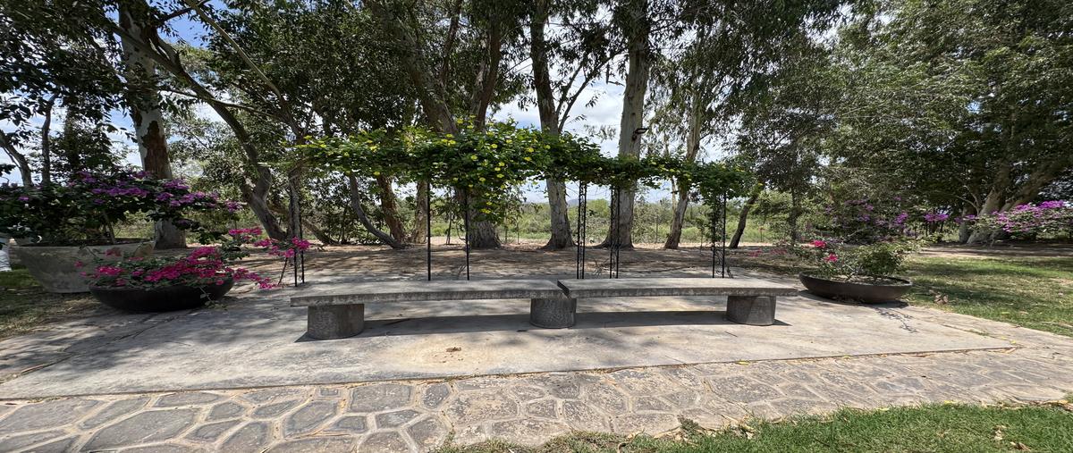 Foto de rancho en venta en carretera los mochis-higuera de zaragoza , bagojo colectivo, ahome, sinaloa, 30527672 No. 03