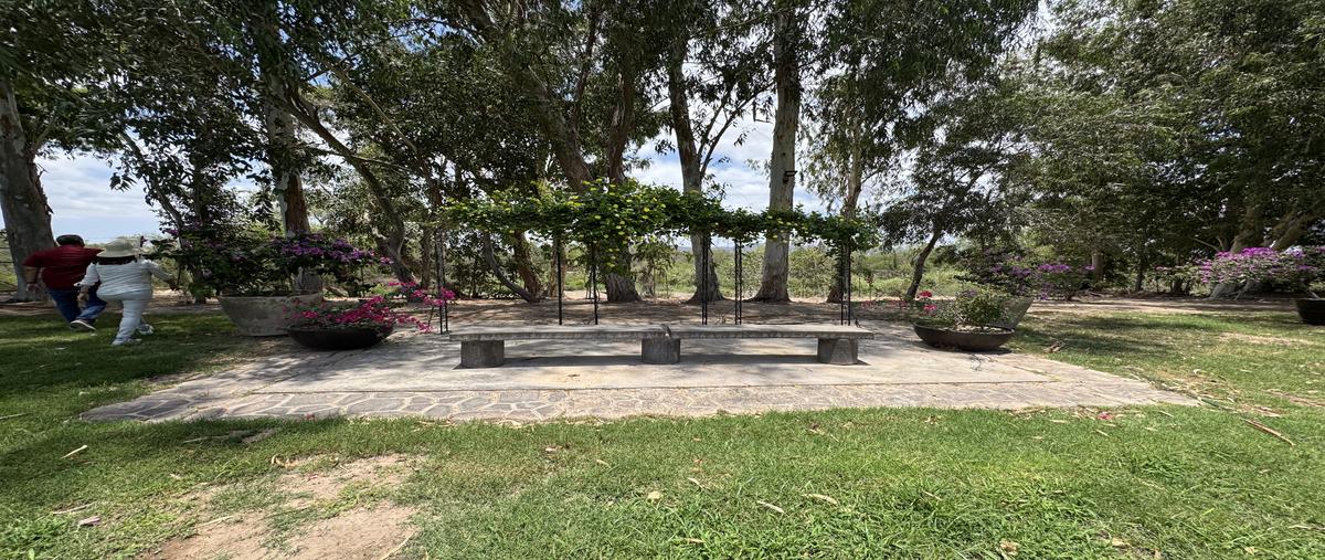 Foto de rancho en venta en carretera los mochis-higuera de zaragoza , bagojo colectivo, ahome, sinaloa, 30527672 No. 04