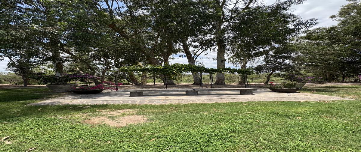 Foto de rancho en venta en carretera los mochis-higuera de zaragoza , bagojo colectivo, ahome, sinaloa, 30527672 No. 06