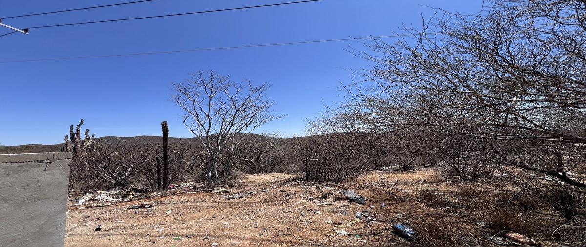 Foto de terreno habitacional en venta en carretera los planes , los planes, la paz, baja california sur, 0 No. 03