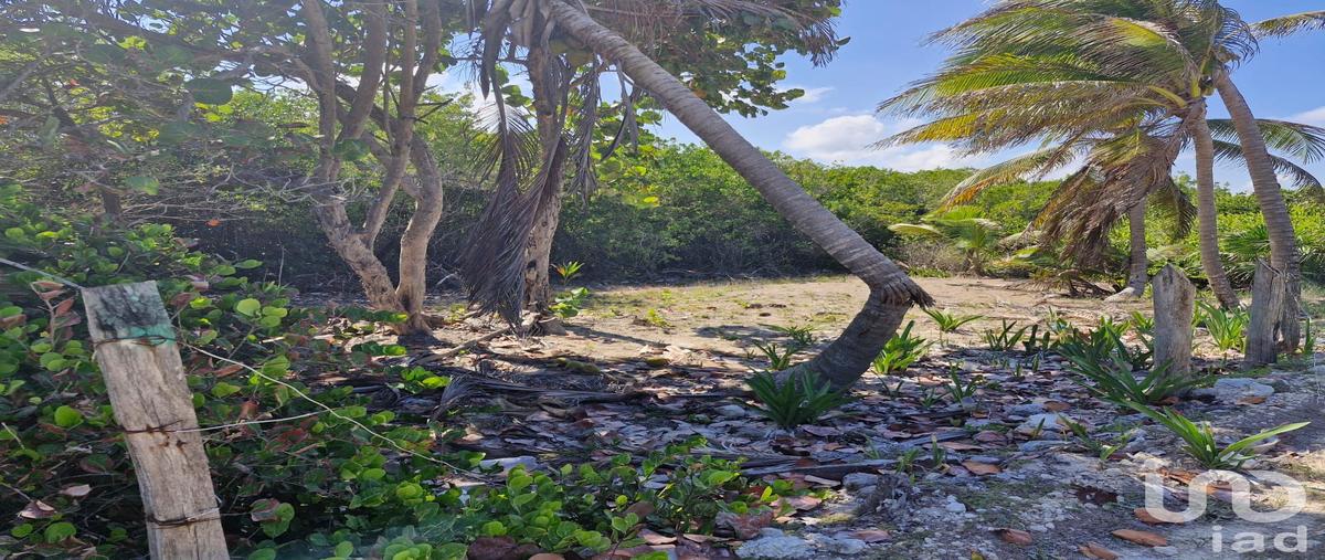 Foto de terreno habitacional en venta en carretera mahahual - xalak 148, mahahual, othón p. blanco, quintana roo, 31112869 No. 03