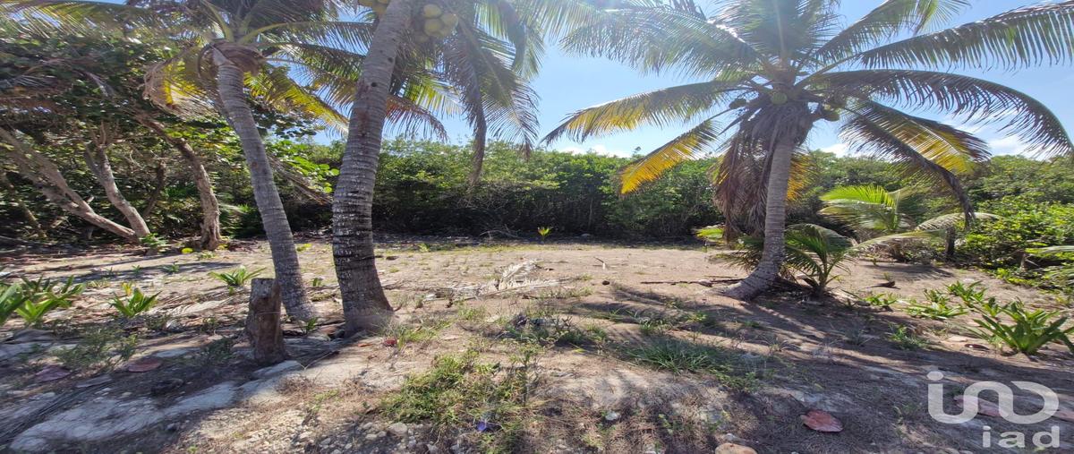 Foto de terreno habitacional en venta en carretera mahahual - xalak 148, mahahual, othón p. blanco, quintana roo, 31112869 No. 04