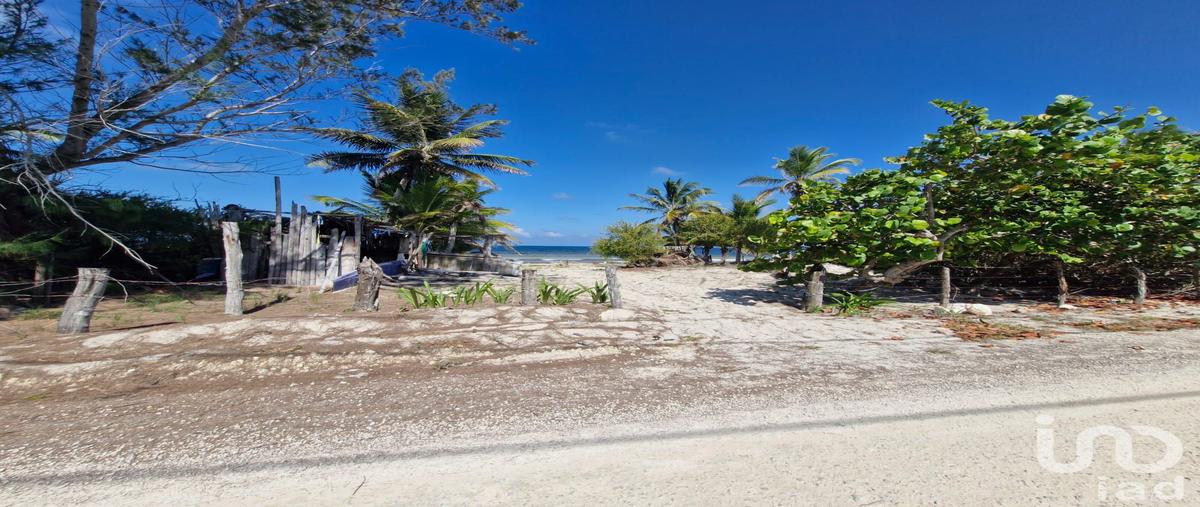 Foto de terreno habitacional en venta en carretera mahahual - xalak 148, mahahual, othón p. blanco, quintana roo, 31112869 No. 05