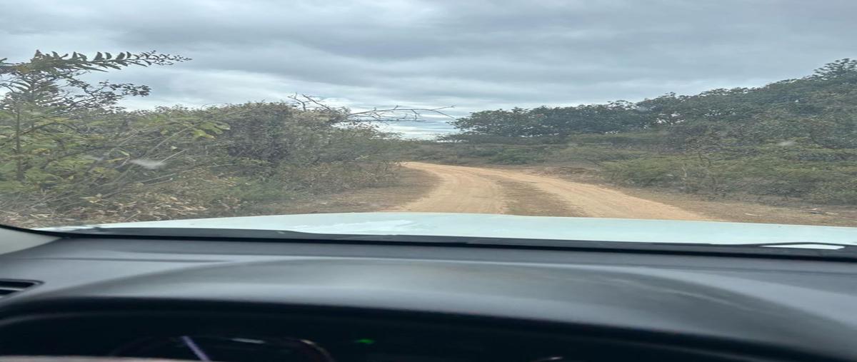 Foto de terreno habitacional en venta en carretera mascota ameca , mascota, mascota, jalisco, 27796743 No. 03