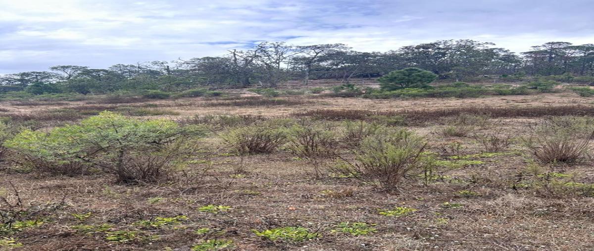Foto de terreno habitacional en venta en carretera mascota ameca , mascota, mascota, jalisco, 27796743 No. 05